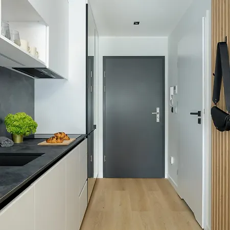 Apartment Palm - Centrum Plac Wolnosci 6 - Kramm Poznan