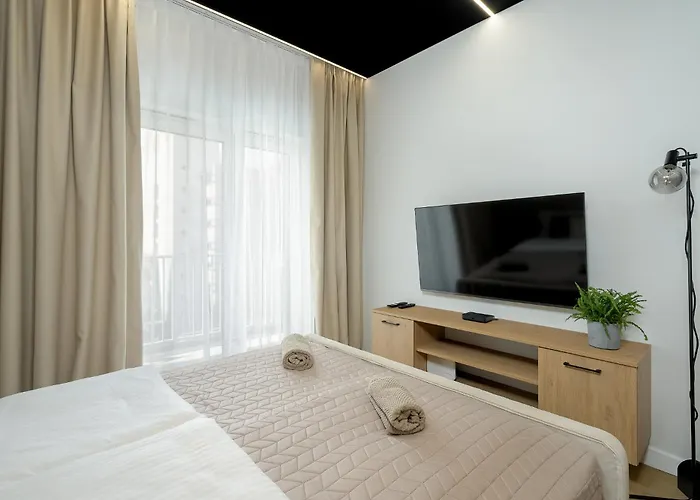 Apartamento Palm - Centrum Plac Wolnosci 6 - Kramm *