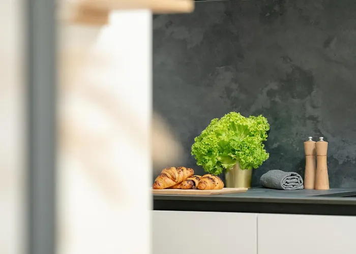 Palm - Centrum Plac Wolnosci 6 - Kramm Apartamento *